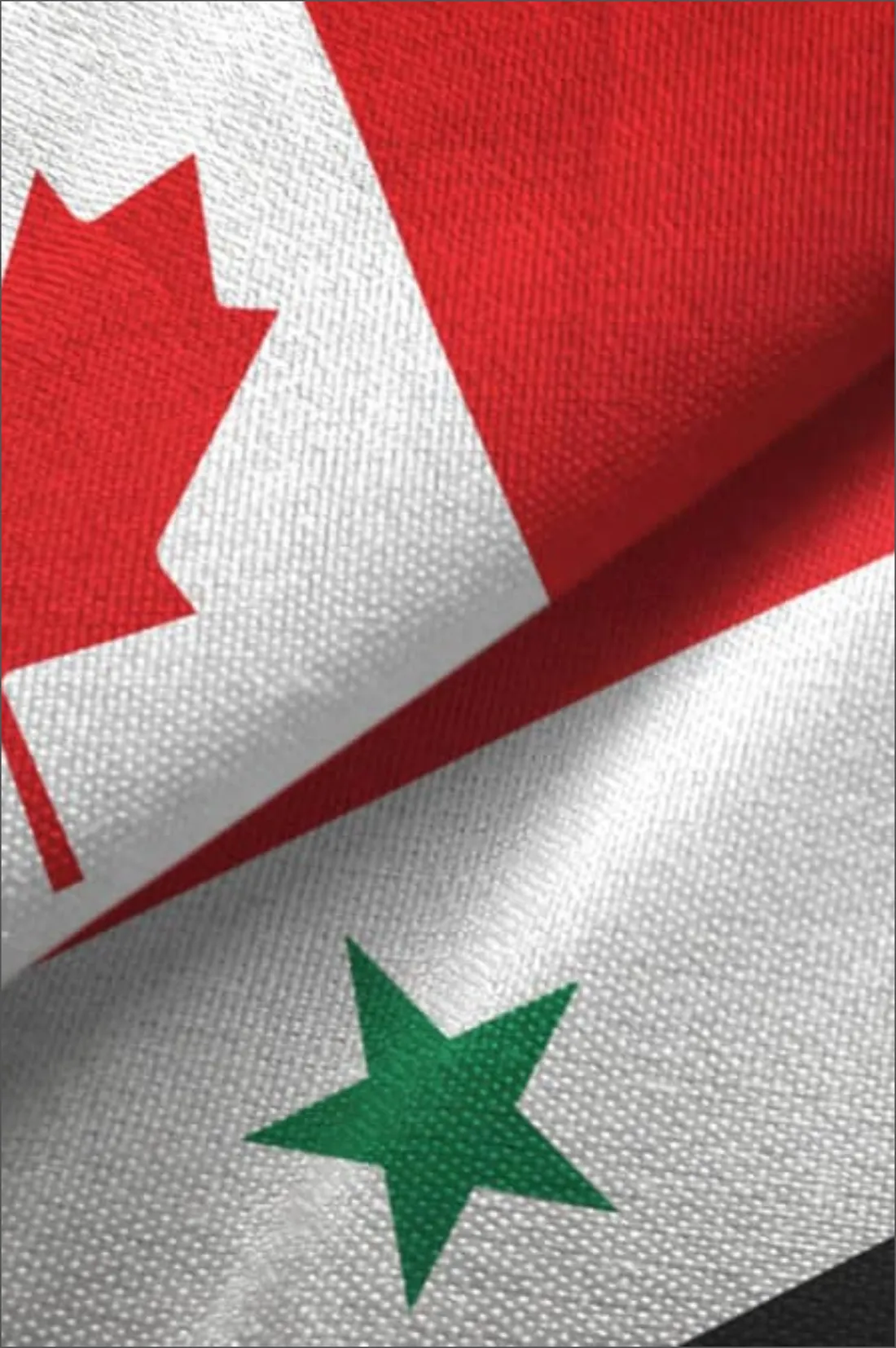 Syrian Canadian Foundation